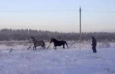 040120112827.webp