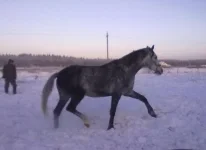 040120112829.webp