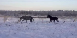 040120112833.webp