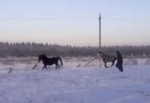 040120112837.webp