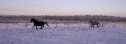 040120112843.webp