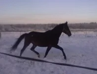 040120112844.webp