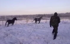 040120112849.webp