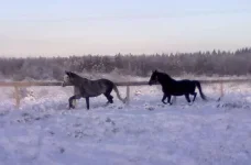 040120112851.webp