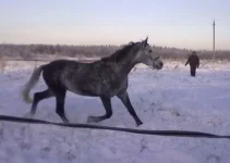 040120112852.webp