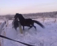 040120112840.webp