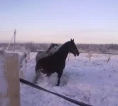 040120112839.webp