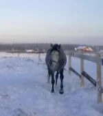 040120112855.webp