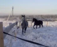 040120112859.webp