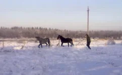040120112860.webp