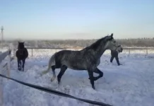 040120112861.webp