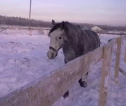 040120112869.webp