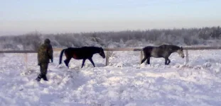 040120112880.webp