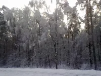 311220102532.webp