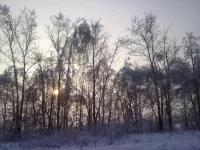 311220102539.webp