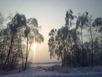 311220102541.webp