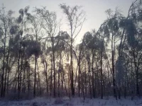 311220102542.webp