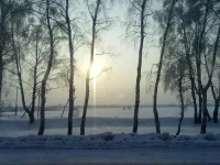 311220102570.webp
