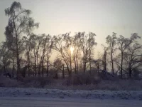 311220102572.webp