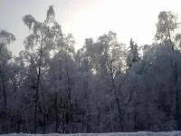 311220102578.webp