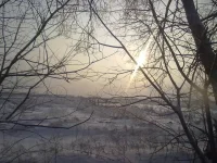 311220102593.webp