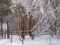 311220102602.webp