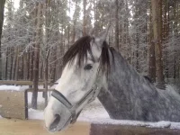 311220102603.webp