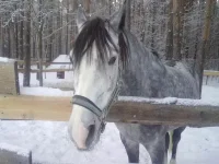 311220102604.webp