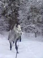 311220102608.webp
