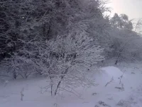 311220102609.webp