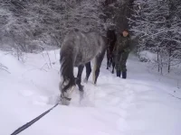 311220102611.webp