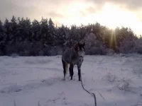 311220102614.webp