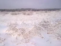 311220102615.webp