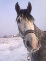 311220102616.webp