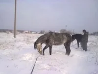 311220102622.webp
