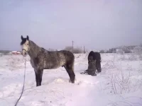 311220102625.webp