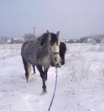 311220102627.webp