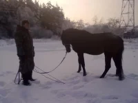 311220102632.webp