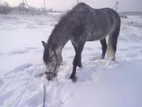 311220102635.webp