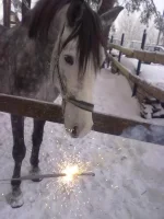 311220102642.webp