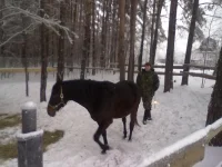 311220102651.webp