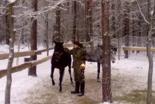 311220102660.webp