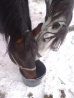 311220102668.webp