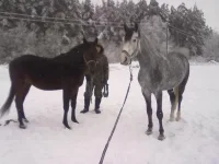 311220102677.webp