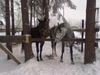 311220102682.webp
