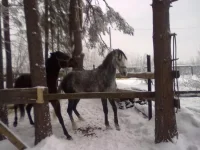 311220102684.webp