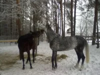 311220102688.webp