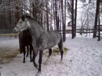 311220102689.webp