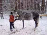 311220102693.webp