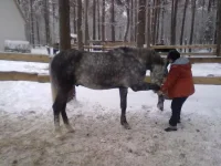 311220102694.webp